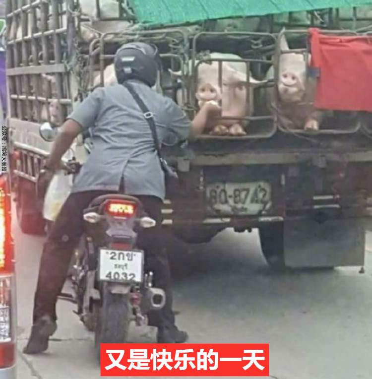 这光天化日下，不合适吧？