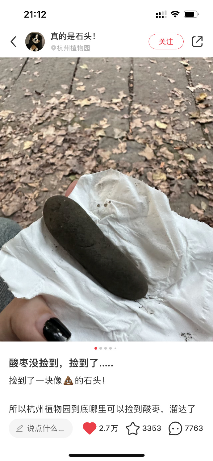 千万不要在外面乱捡东西，哈哈哈网友操碎了心