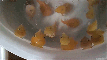 ​看什么看？吐你口水！