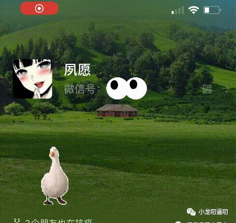 好家伙，这是欺负我视力不好？
