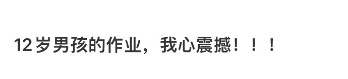 被12岁小朋友的作业震撼到，太厉害了