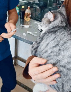 动图：这么不放心广大网友吗？